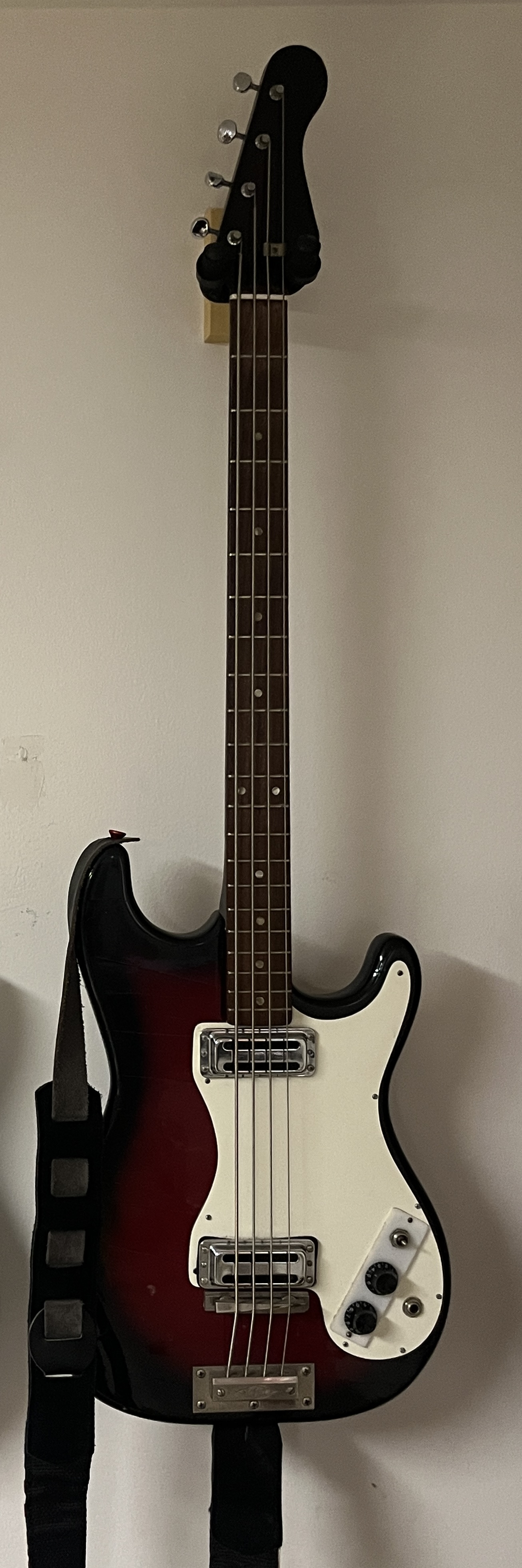 bass pic